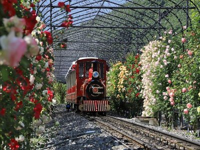 🌹 로잔베리 다와다(ローザンベリー多和田) 이미지 2